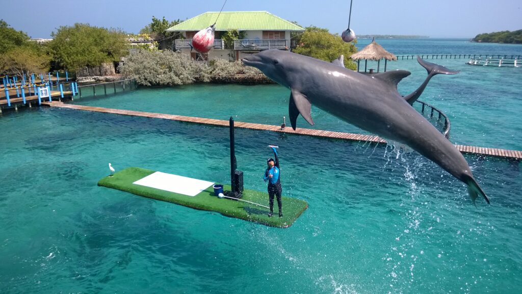 Tour a 5 Islas del Rosario en Bote Deportivo, Almuerzo y Snorkel