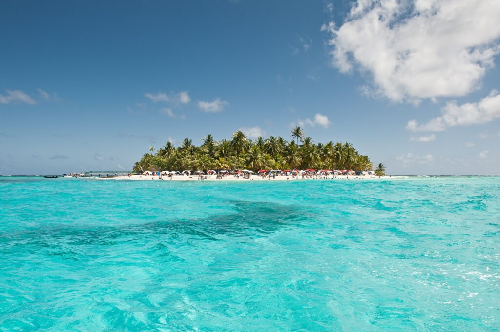 4 Tours en 1 : Acuario , Haynes Cay, Avistamiento y Manglares