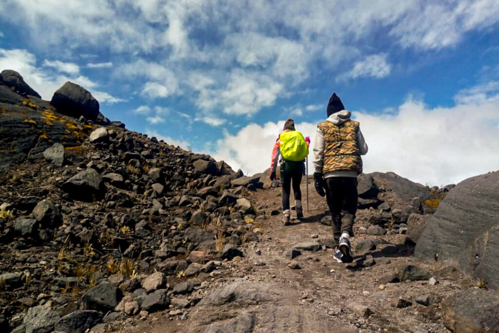 Excursion de Alta Montaña al Sendero Conejeras desde Pereira