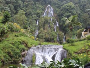 Experiencia de Café y termales de Santa Rosa