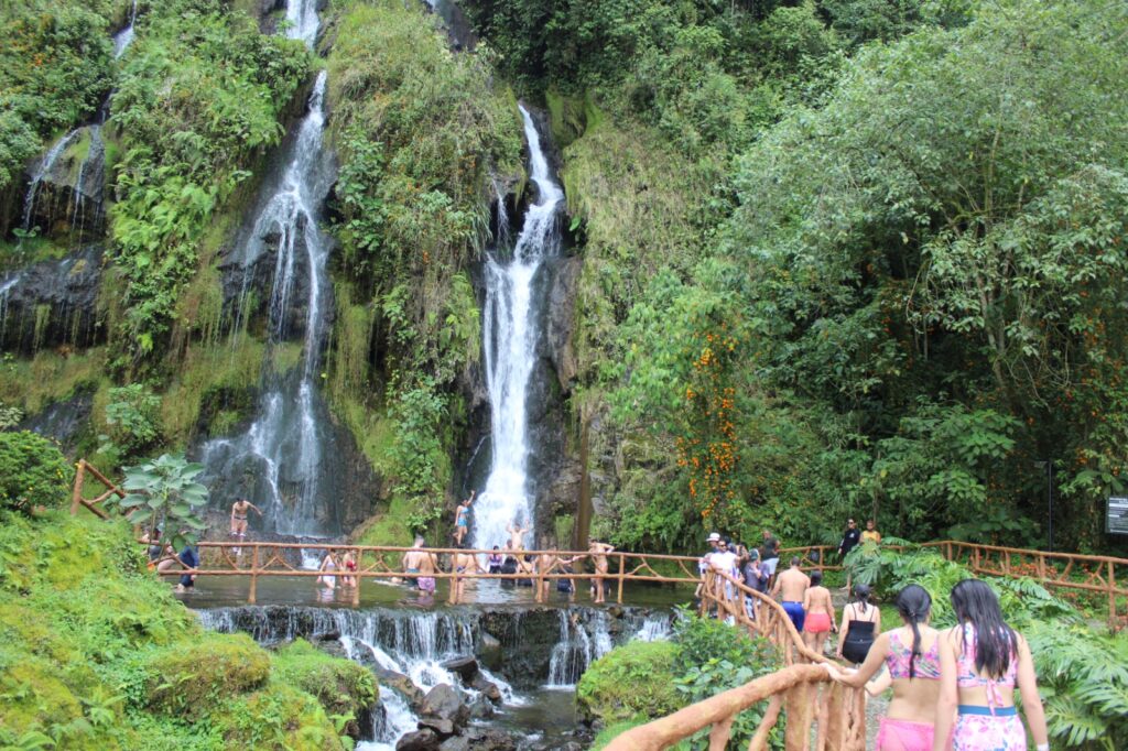 Experiencia de Café y termales de Santa Rosa