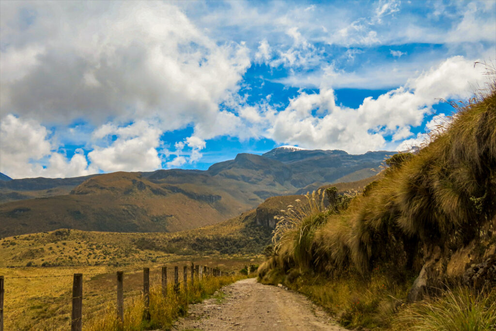 Excursion de Alta Montaña al Sendero Conejeras desde Pereira