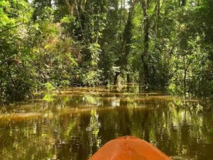 Kayak o Canotaje en el Amazonas – Naturaleza y Aventura