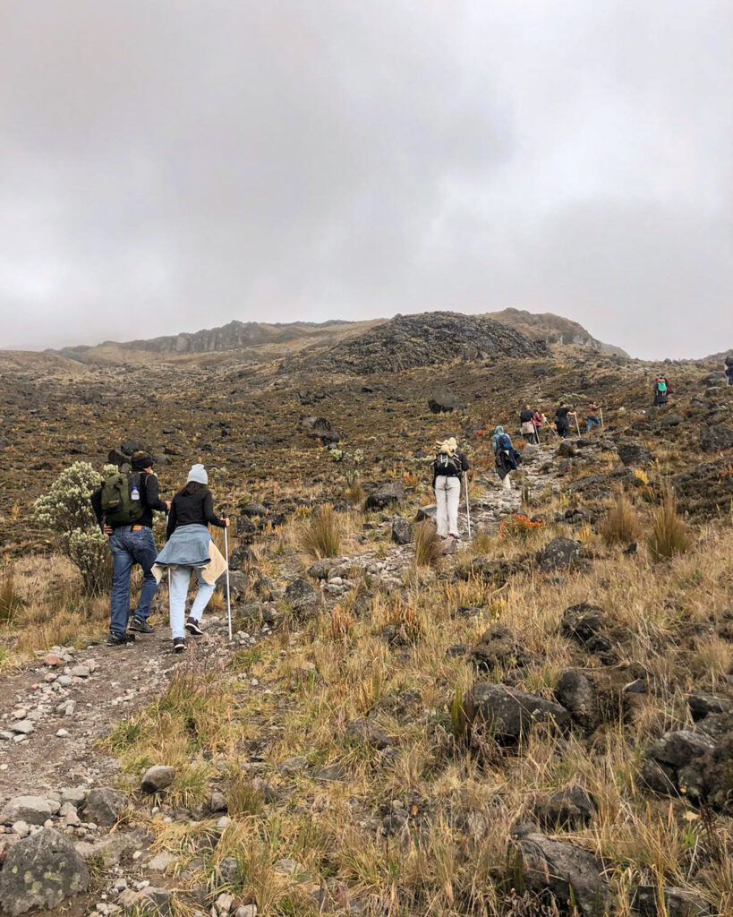 Excursion de Alta Montaña al Sendero Conejeras desde manizales