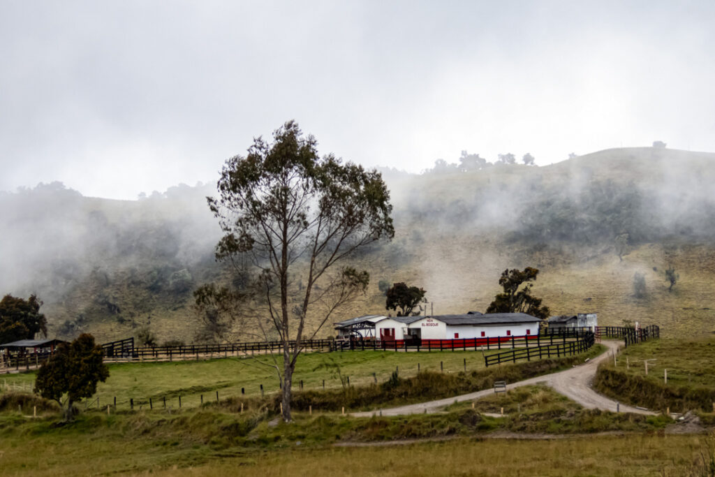 Excursion de Alta Montaña al Sendero Conejeras desde Pereira