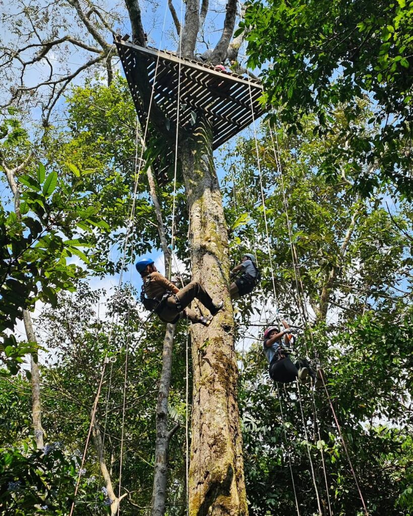 Canopy Extremo + Sendero Nocturno – Aventura Amazónica Total