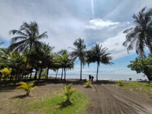 Tour dia Completo  a Playa Piangüita