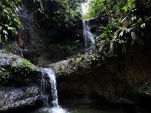 Tour a Cascadas Telares y Tres Marías con Almuerzo