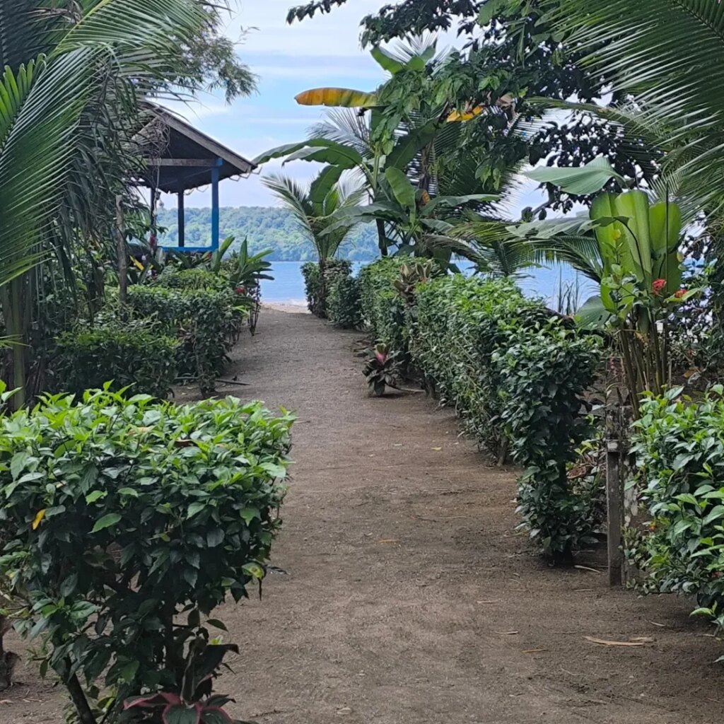 Tour Avistamiento de Ballenas, Parque Utría y Playa Blanca