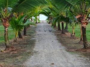 Tour Avistamiento de Ballenas, Parque Utría y Playa Blanca