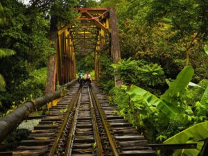 Tour Privado a San Cipriano Charco Cristalino y Cascadas