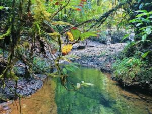 Tour a Cascadas Telares y Tres Marías desde Cali