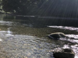 Tour Aguas Claras con Charcos Profundos y Rio Cristalino