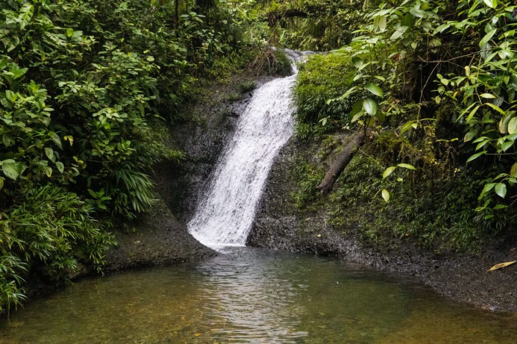 Tour Privado a San Cipriano Charco Cristalino y Cascadas