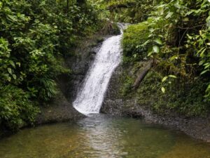 Tour Privado a San Cipriano Charco Cristalino y Cascadas