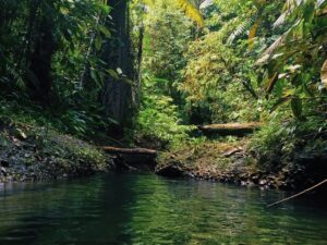 Tour a Cascadas Telares y Tres Marías desde Cali