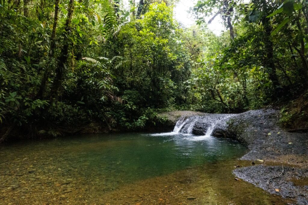 Tour Privado a San Cipriano Charco Cristalino y Cascadas