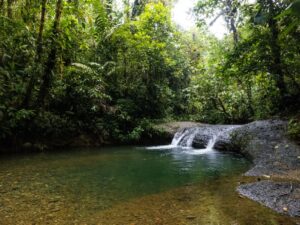 Tour Privado a San Cipriano Charco Cristalino y Cascadas