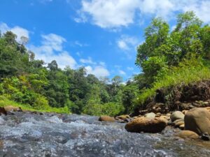 Tour a Cascadas Telares y Tres Marías con Almuerzo