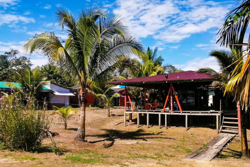 Tour avistamiento de Ballenas y Playa Cucheros con Almuerzo