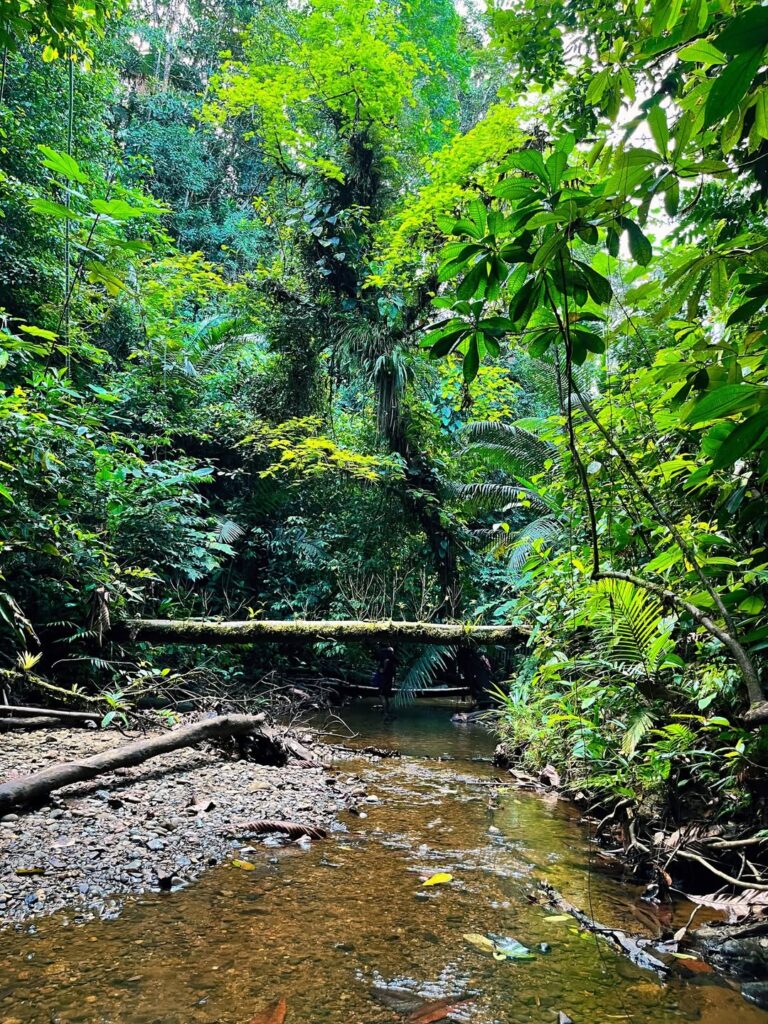 Tour a Cascadas Telares y Tres Marías desde Cali