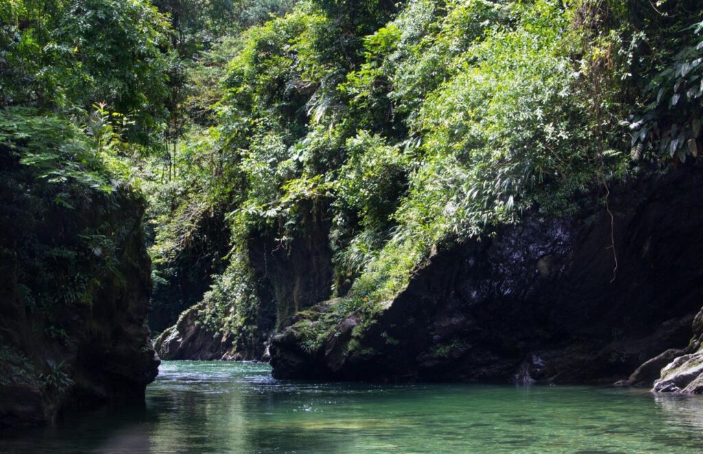 Tour Aguas Claras con Charcos Profundos y Rio Cristalino