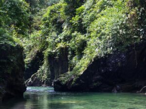Tour Aguas Claras con Charcos Profundos y Rio Cristalino