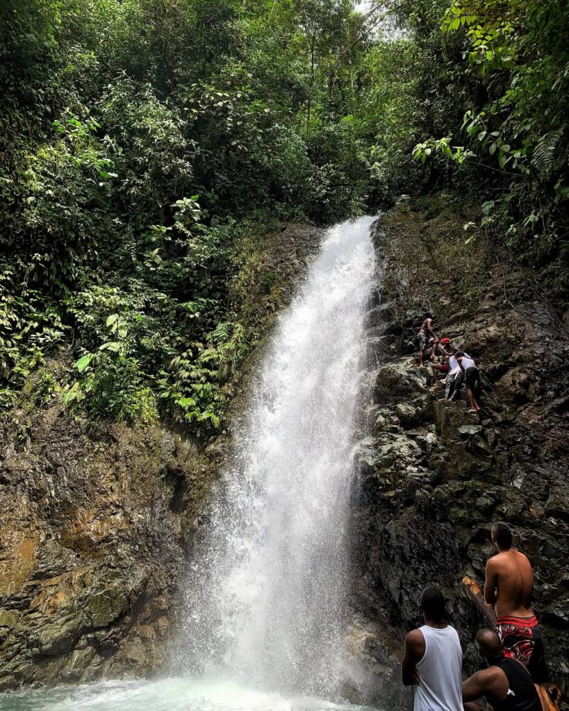 Tour a Quebrada El Salto: charcos naturales, cascadas y Selva