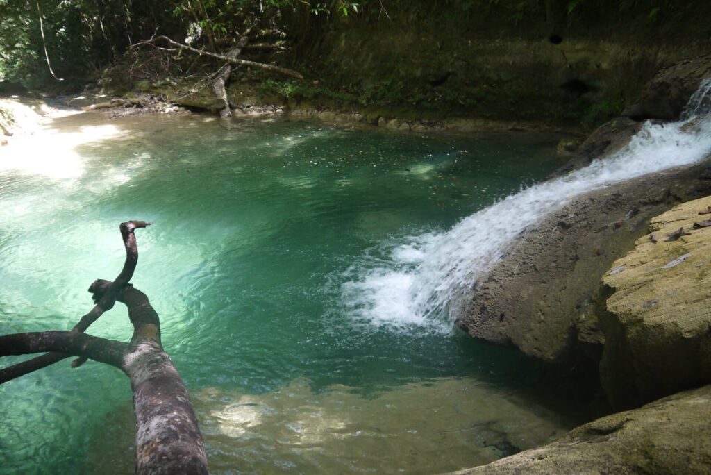 Tour Privado a San Cipriano Charco Cristalino y Cascadas